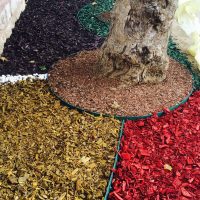 Renkli Yonga-Dekoratif Çam Kabuğu